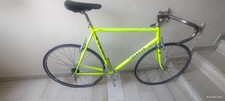 Pinarello columbus max usato  San Giuliano Milanese