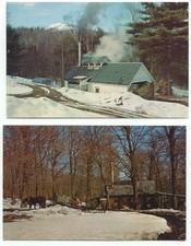 sap maple sugar for sale  North Haven