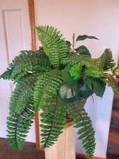 Artificial silk plant for sale  Conifer