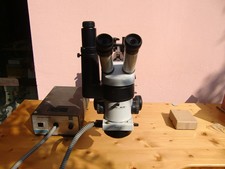 Stereo microscopio wild usato  Zugliano