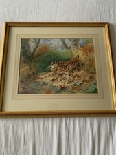 Archibald thorburn woodcock for sale  NUNEATON