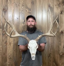 Dark tall 5x5 for sale  Port Matilda