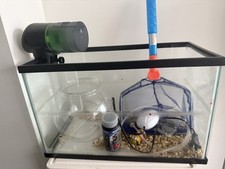 5.5 gallon fish for sale  New York