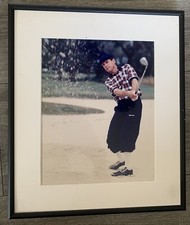 Incredible payne stewart for sale  Spring Hill
