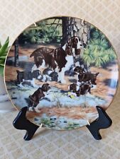 Springer spaniels plate for sale  BRADFORD
