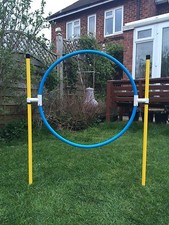 Jessejump agility basic for sale  LEAMINGTON SPA