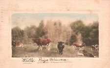 Vintage postcard 1909 for sale  Boiling Springs