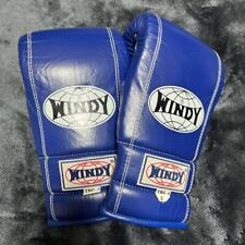 Luvas de pancada Windy couro genuíno tamanho G boxe kickboxing comprar usado  Enviando para Brazil