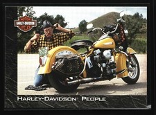 1994 skybox harley for sale  USA