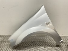 Kotflügel links 6001549971 gebraucht kaufen  Rudelzhausen