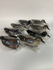 Blue wing teal for sale  Houston