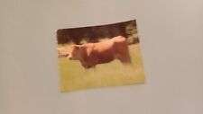 Vache limousine vache d'occasion  Montcuq
