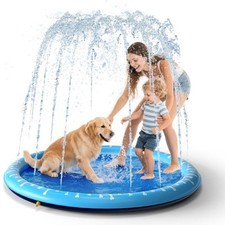 Piscina per cani usato  Casoria