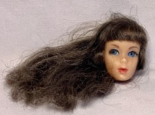 mexican pony tail for sale mexican pony tail for sale Lincoln
