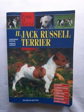 Jack russell terrier usato  Frascati