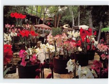 Postcard part worlds for sale  Stevens Point