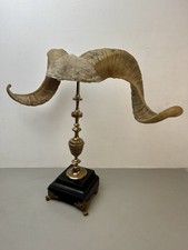Cabinet curiosité taxidermie d'occasion  Bolbec