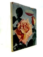 Roses colour gebraucht kaufen  Versand nach Germany
