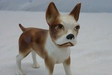 Chien porcelaine bouledogue d'occasion  Cloyes-sur-le-Loir