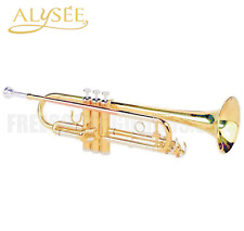Alysee tr6333 tromba usato  Casarano
