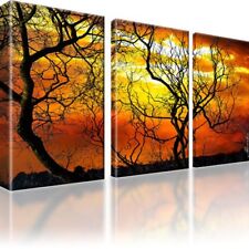 Horizont bäume natur gebraucht kaufen  Deutschland