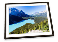 Canadian rockies landscape for sale  UK