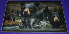 Wildlife black bear for sale  Fargo