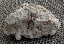 Aquarium deko stein gebraucht kaufen  Bonn
