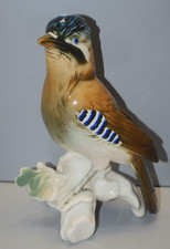 Karl ens oiseau d'occasion  Angoulême