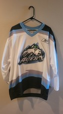 Alaska aces echl for sale  Pullman