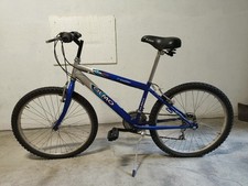 Bici mountain bike usato  Alessandria