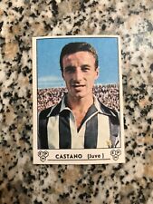 Juventus castano album usato  Firenze