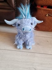 Cute blue highland for sale  CHESTERFIELD