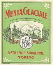 02959 menta glaciale usato  Torino