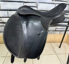 Xxw thorowgood cob for sale  LLANGOLLEN