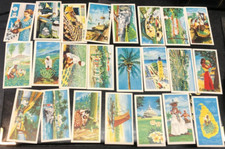 Barnsley british tea for sale  SWADLINCOTE