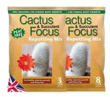 Cactus succulent focus for sale  DERBY