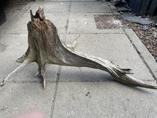 Gartendeko wurzelholz gebraucht kaufen  Berlin