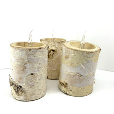 Birch bark decorative for sale  Westborough