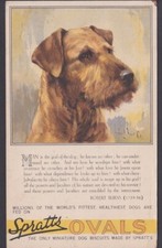 Large advertisement vintage for sale  WEYMOUTH