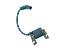 briggs stratton bobina usato briggs stratton bobina usato Cherasco