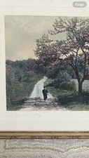 David davidson barefoot for sale  West Barnstable