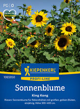 Sonnenblume king kong gebraucht kaufen  Essen