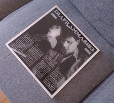 Vinile diaframma 8183 usato  Roma