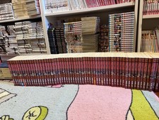 Fairy tail japanese usato  Firenze