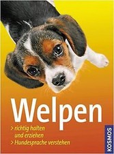 Welpen richtig erziehen gebraucht kaufen  Berlin