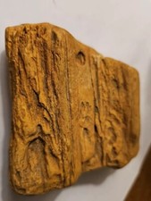 Texas petrified wood for sale  Early