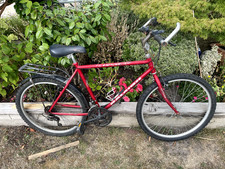 Raleigh bike for sale  CHRISTCHURCH