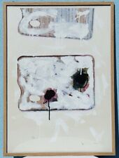 Mario schifano litografia usato  Cesenatico