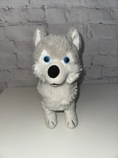 Grau weisser husky gebraucht kaufen  Mönchengladbach